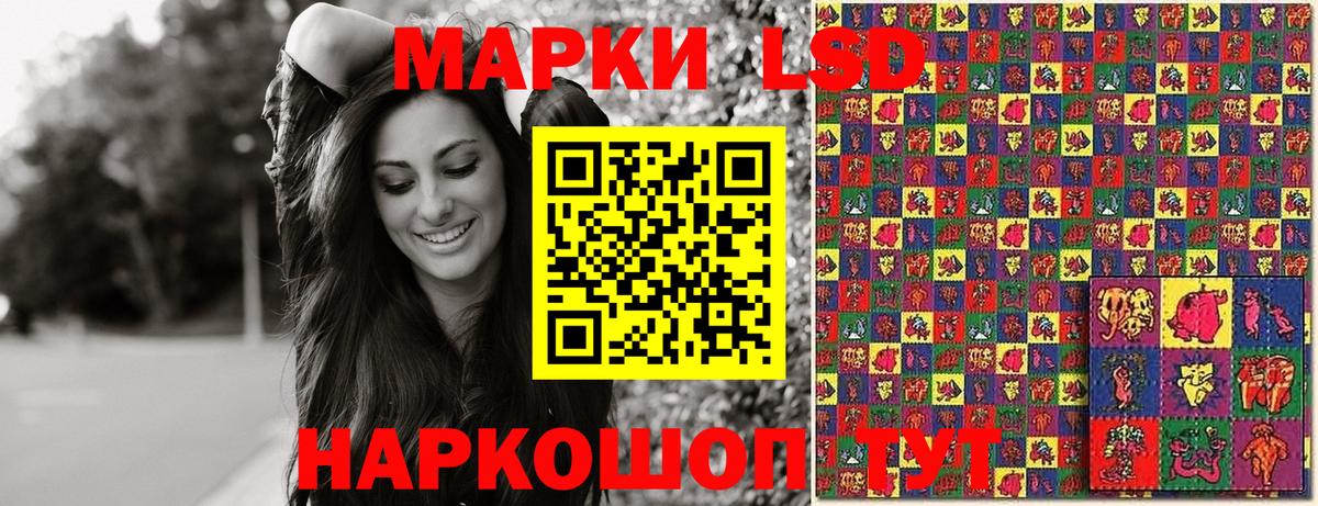 Наркотические марки 1,5мг  Наркотические марки  Вход с VPN  Верхняя Пышма  Наркотические марки 1,5мг 