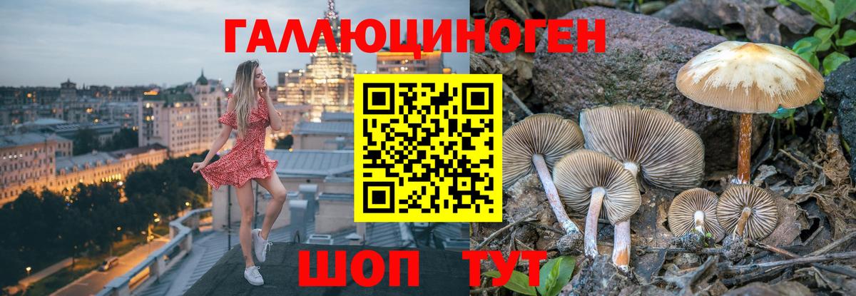 Галлюциногенные грибы Cubensis Верхняя Пышма